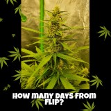 PicsArt_12-18-06.51.10