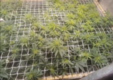 Screenshot_20201220_203303
