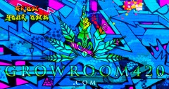 mn Groomroom420 blue grap