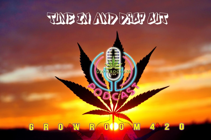 mn sunset podcast gr420