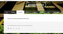 homepage