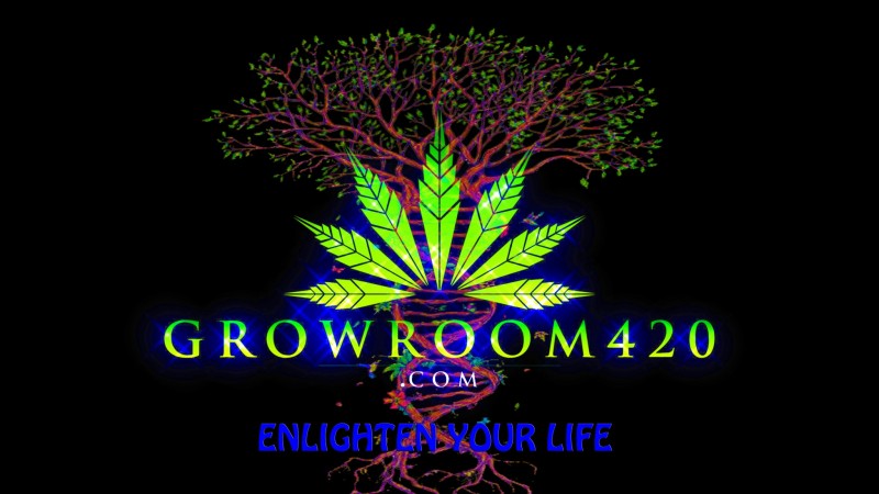 mn enlighten your life gr420