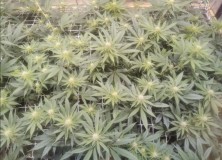 Screenshot_20201229_204842