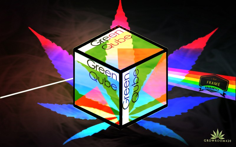 mngreenqube