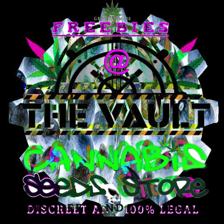 mn-vault-cog