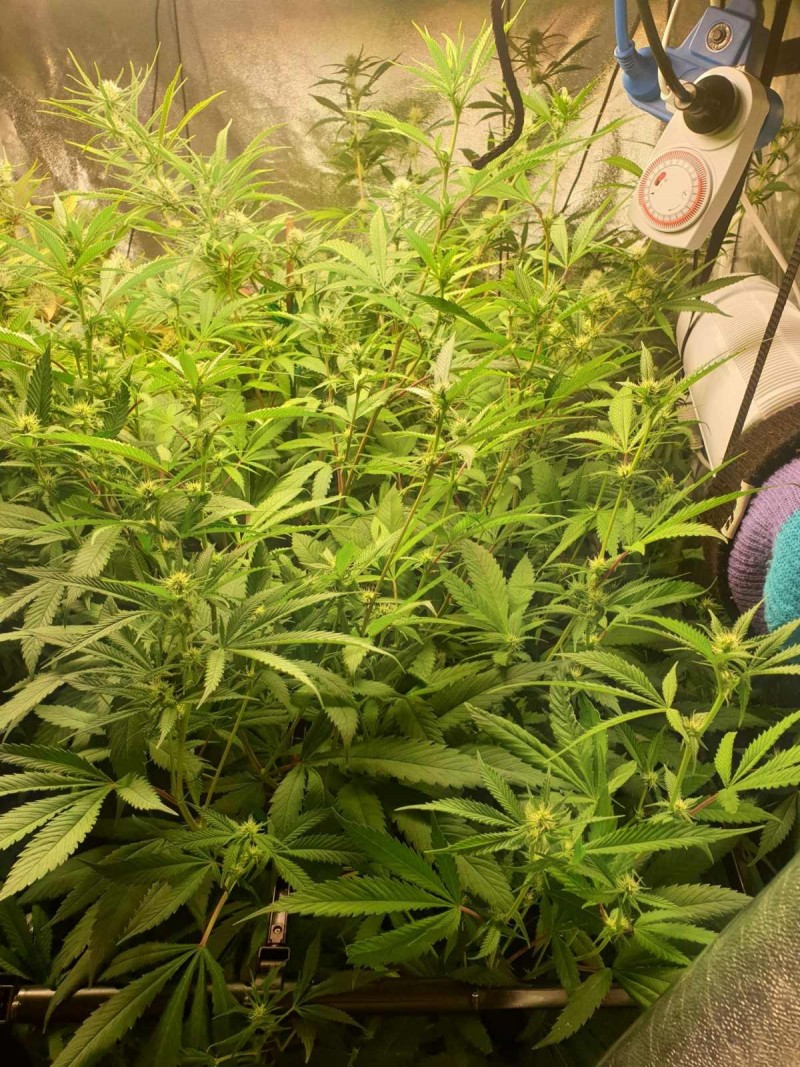 Apollo 11 week 3