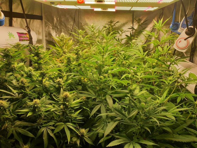 week 4