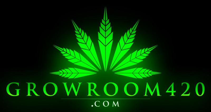 mn greem glow gr420
