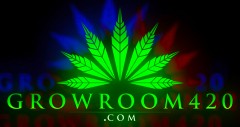 mn groowroom rgb