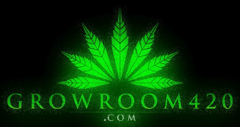 mn growroom green splater