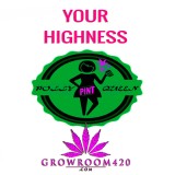 mn polly highness