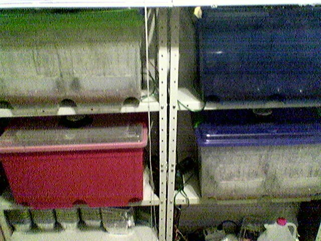 Image003