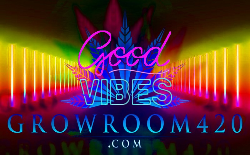 mn gr420 good vibes