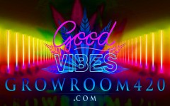 mn gr420 good vibes