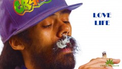 mn love life marley