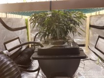 20180918_123901
