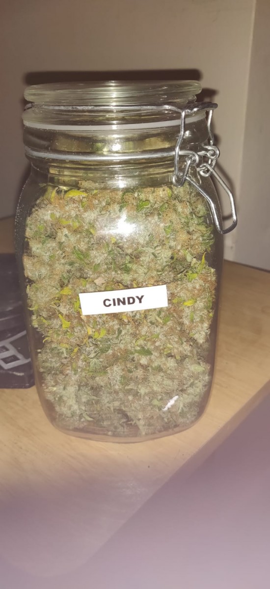 Cindy150grams