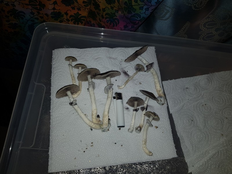 20210116_230149
