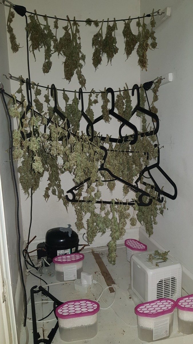 IMG-20210119-WA0001