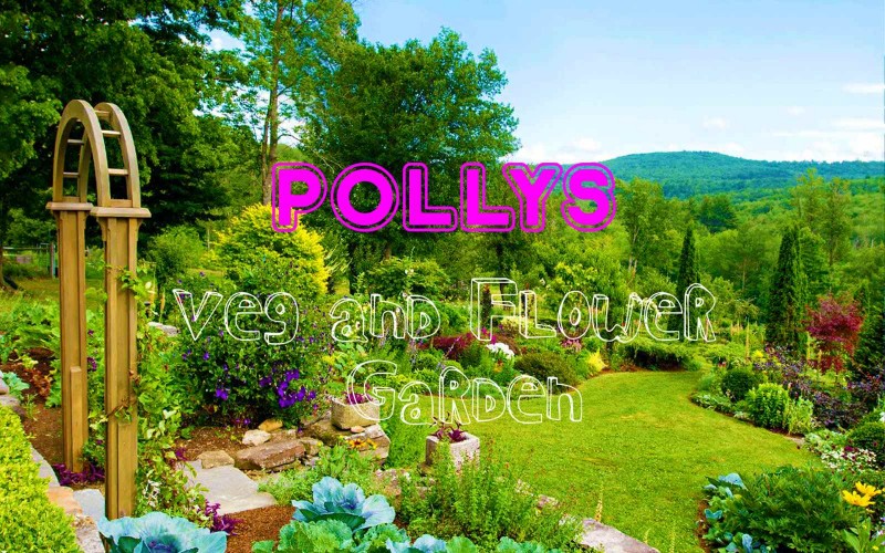 mn polly veg an fruit garden