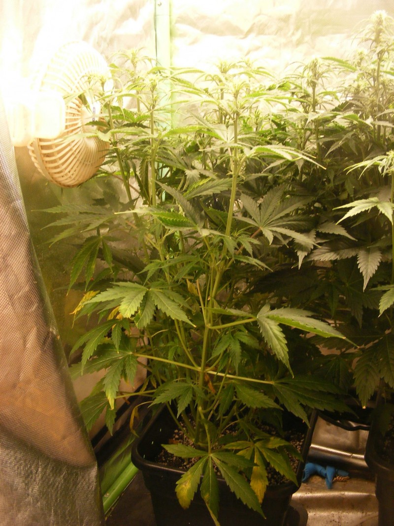 2020_0605special-soil0003