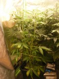 2020_0605special-soil0003
