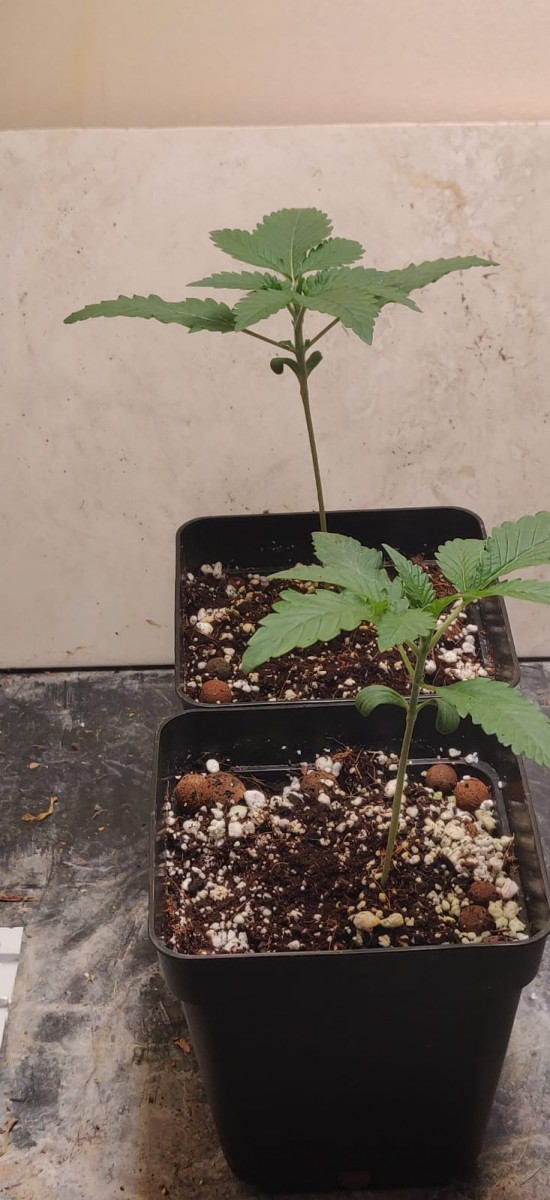 day10Front