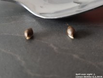 20180307_095653