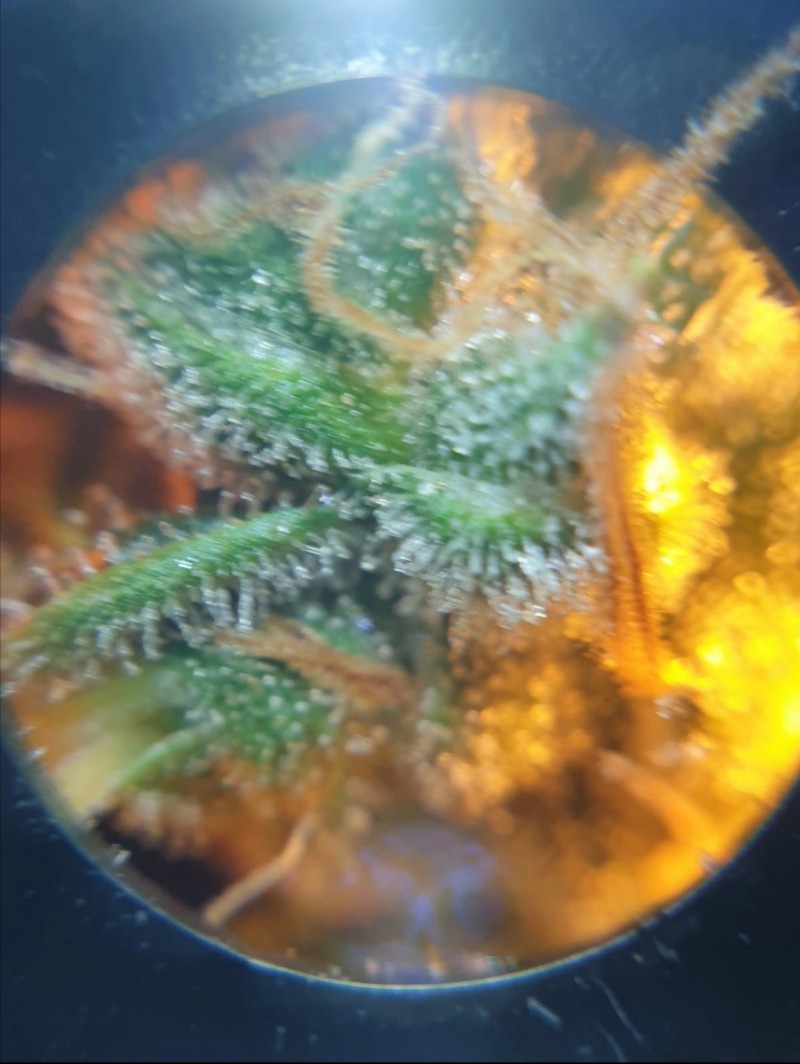 Screenshot_20210207_214719