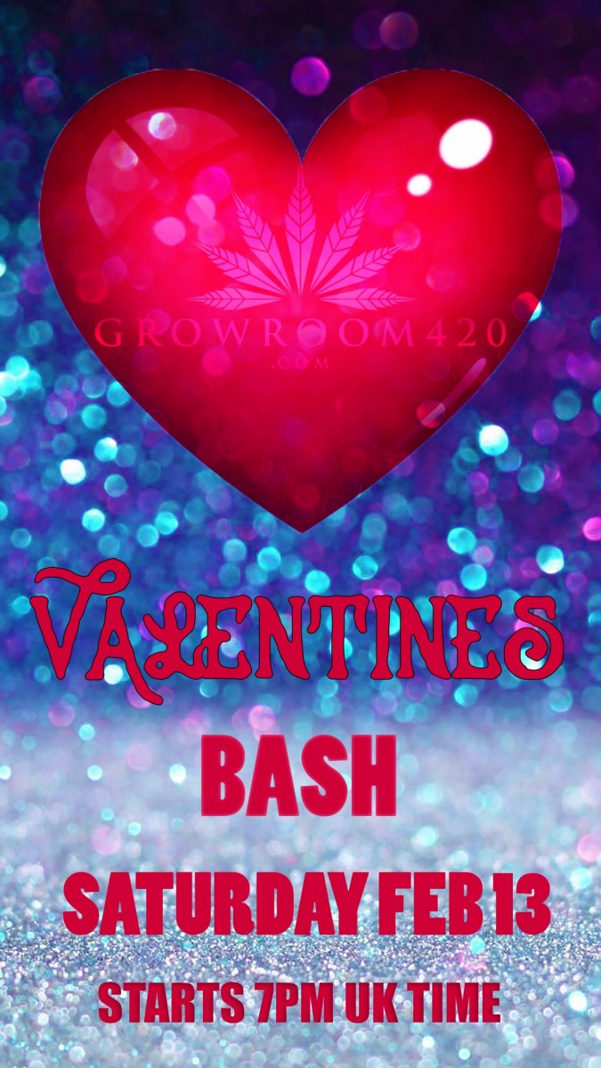 mn valentine bash heart