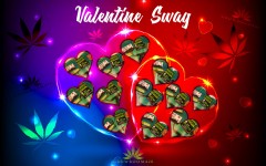 mn valentine swag