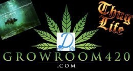 BD2
