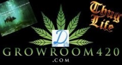 BD2