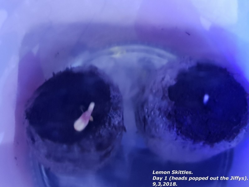 20180309_100932