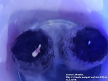 20180309_100932