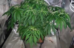 IMG_20210101_142408