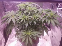 IMG_20210101_223927