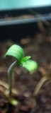 IMG_20210129_094422