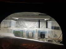 20210219_102622