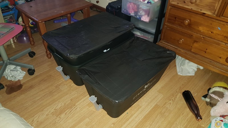IMG-20210219-WA0019