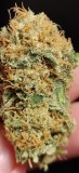 IMG_20210221_084659