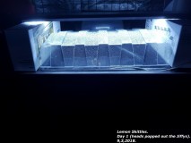 20180309_101752