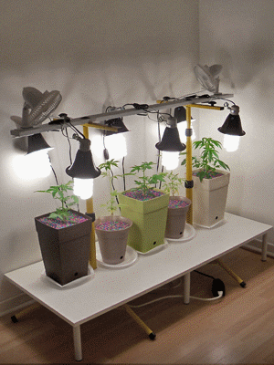 DiY Culture Space (2012-Apr-21)