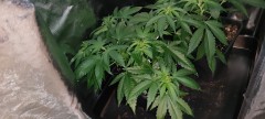 IMG_20210310_160557