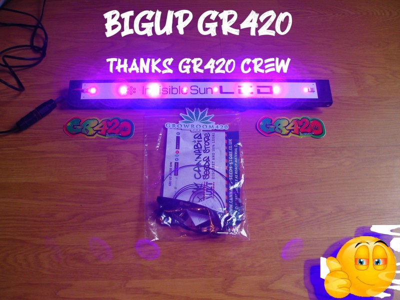 MN uv light