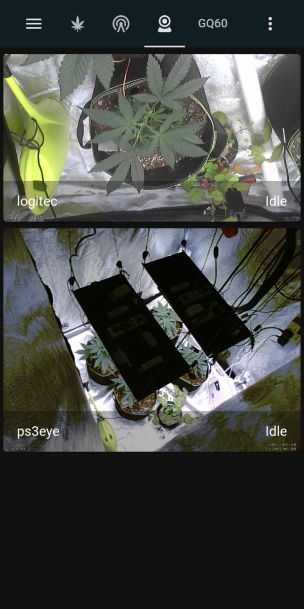 Screenshot_20210320-210856