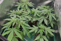 IMG_20210322_113043