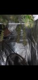Screenshot_20210325-201343_Gallery