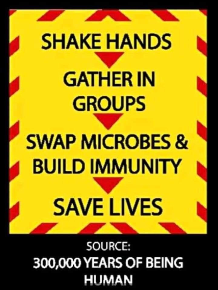 Fb