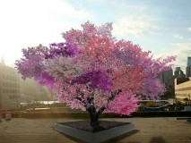 tree_of_40_fruit